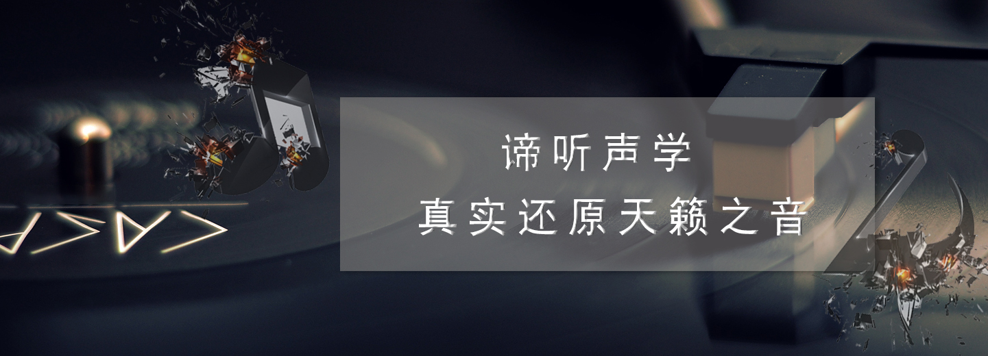 厦门谛听声学技术有限公司